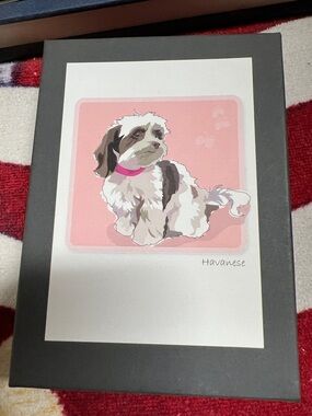 Havanese Puppy Dog Art Print Blank Note Cards Boxed Set 5pc Office Stationary